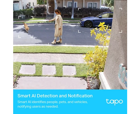 TP-Link Tapo C420S2