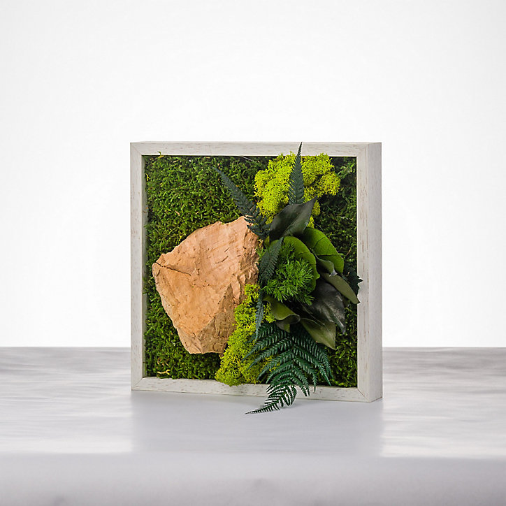 Tableau végétal stabilisé mono