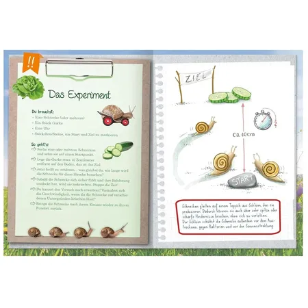 ars Edition Naturforscher-Kids - Mein erstes Naturforscher-Buch