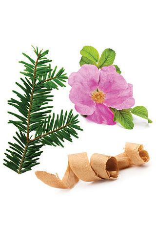 Mélange d’huiles TerraShield®