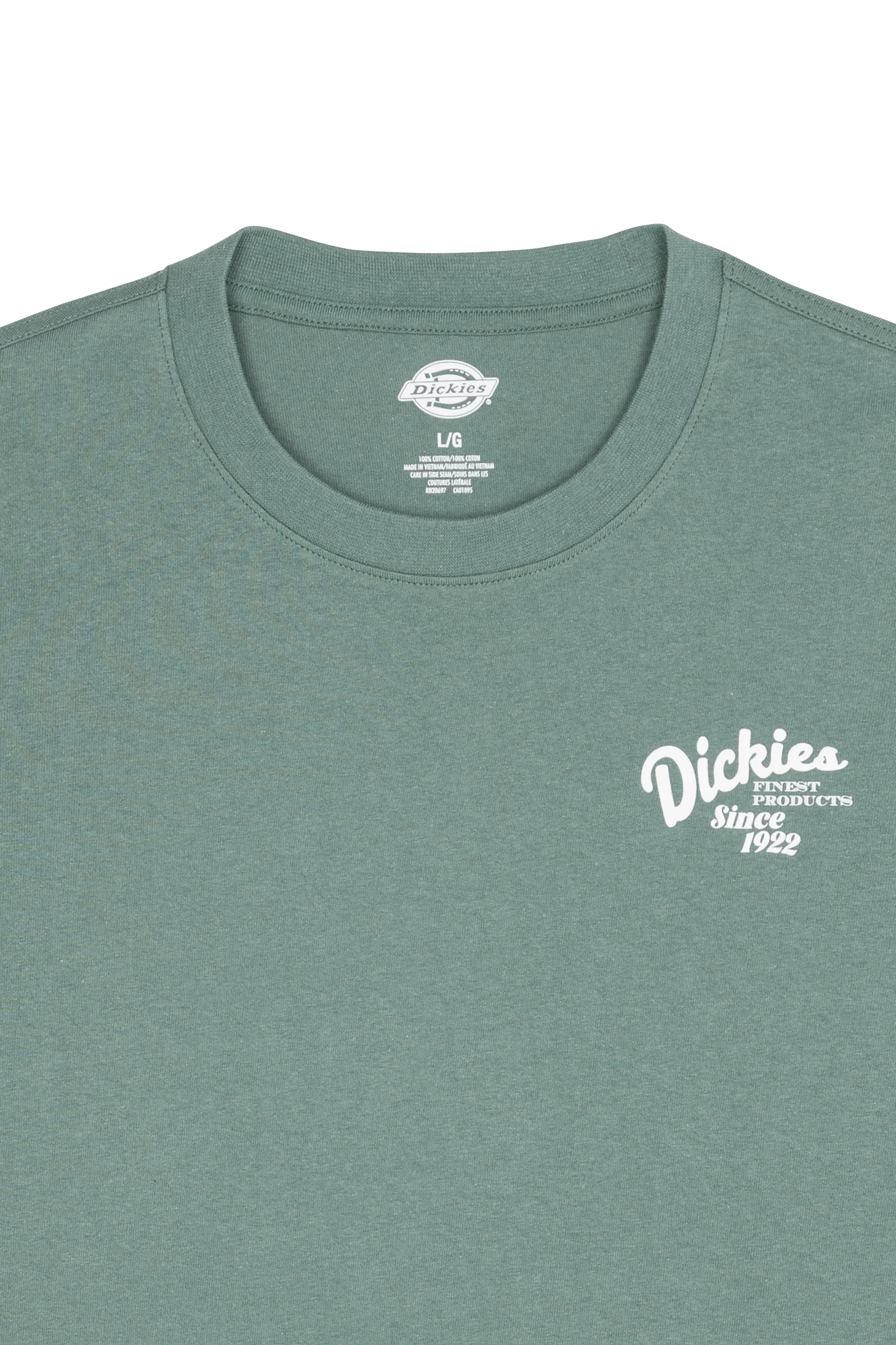 DICKIES T-shirt RAVEN TEE SS Vert