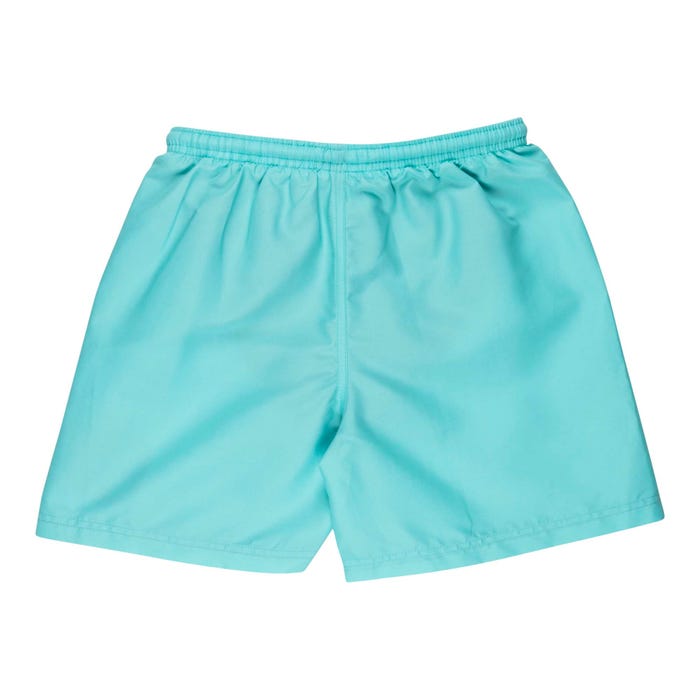 Santa Cruz Classic Dot Swimshort Dusty Blue