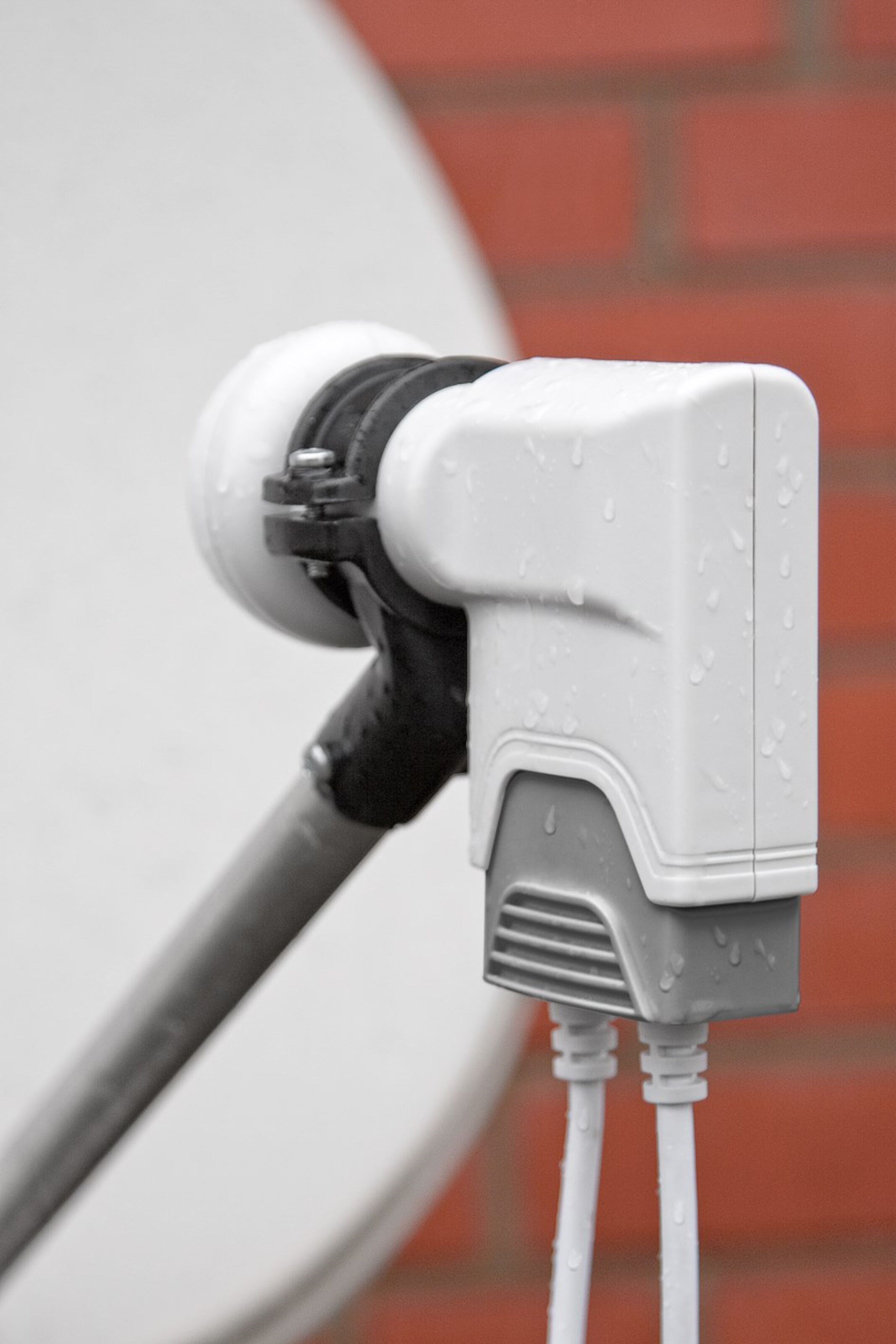 Universal Twin-LNB