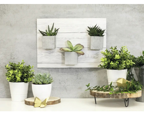 dc-fix® plakfolie houtdecor Shabby Wood 45x200 cm