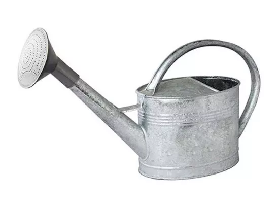 Arrosoir acier galvanisé avec pomme 6 litres