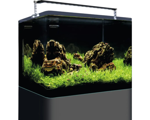 DENNERLE Nano Tank Plant Pro 55 L aquarium, Chihiros A II 451 LED verlichting inclusief binnenfilter, afdekglas, veiligheidsmat en beginnersbrochure.