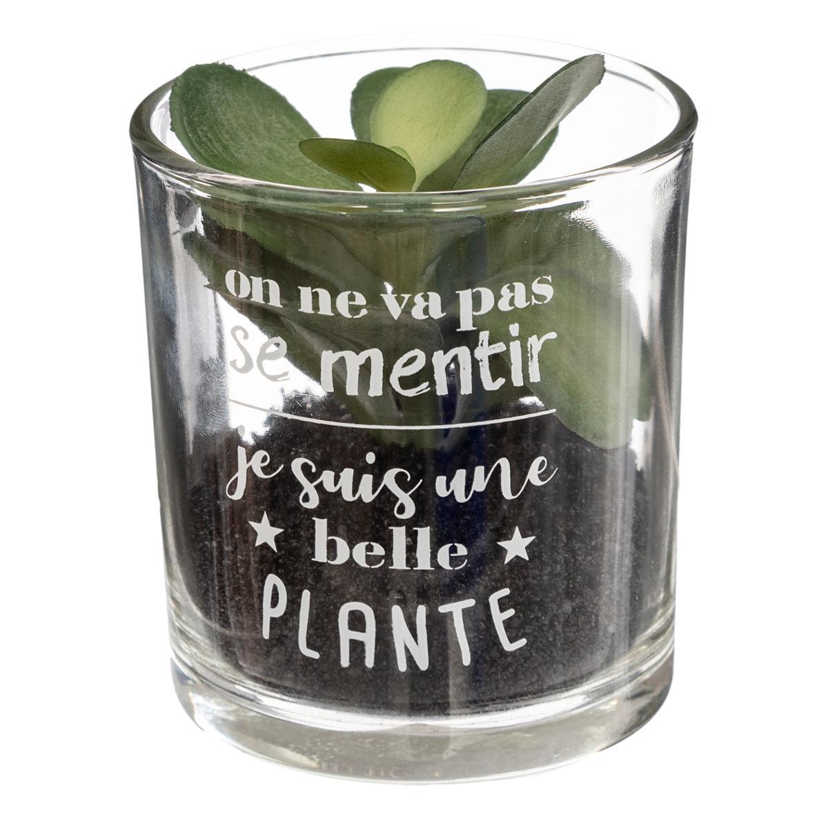 PLANTE POT MESSAGE D.7X8CM