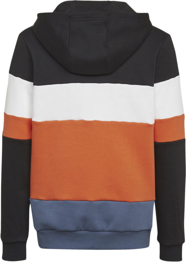 adidas Colorblock Fleece hættetrøje Multifarvet