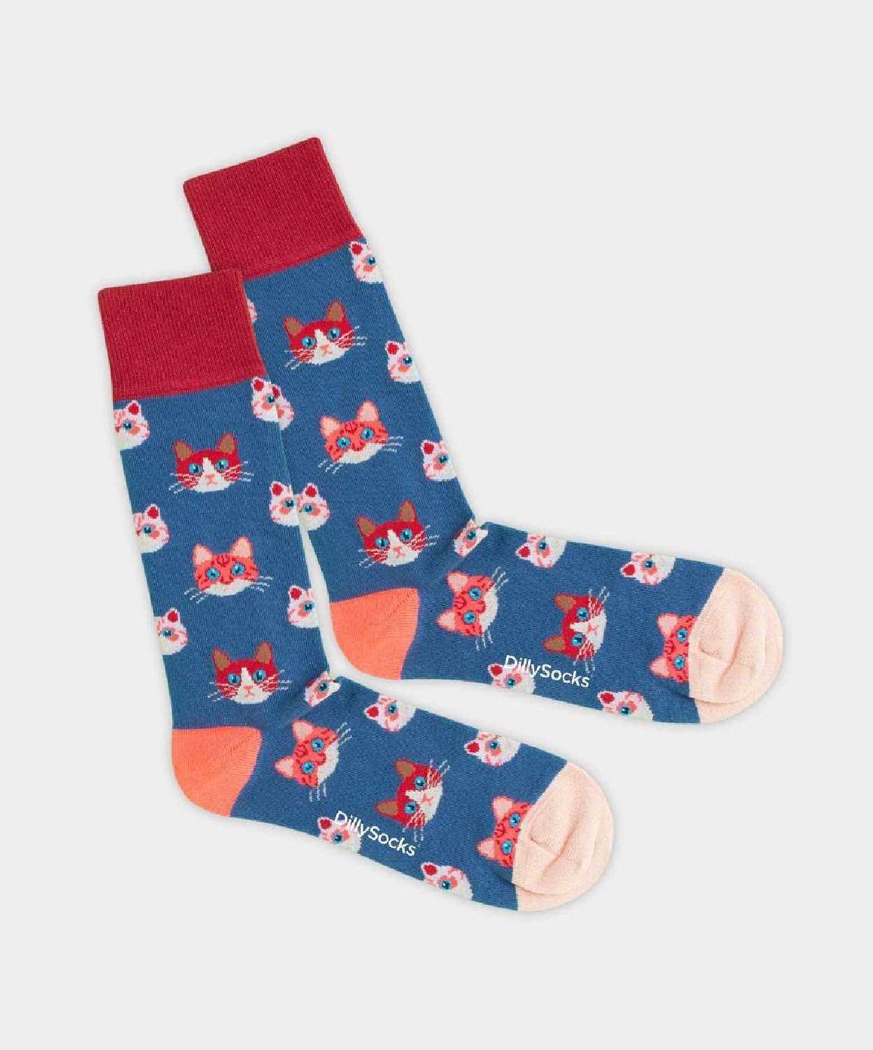 DillySocks Socken Sky Kitten