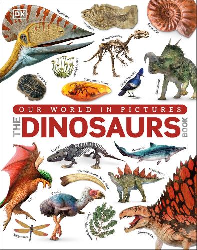 Our World in Pictures The Dinosaurs Book (Hardback)