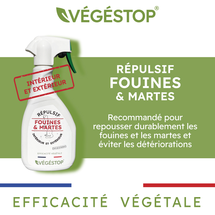 VEGESTOP Répulsif Fouines et Martes - 500 ml - Eloigne les petits nuisibles - Longue durée - Action rapide