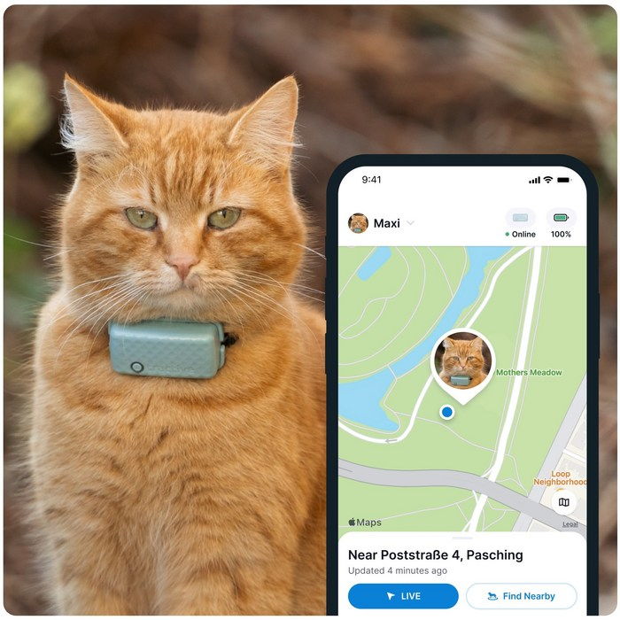 GPS CAT Mini Pet Tracker für Katzen mit Live Ortung und Aktivitäts Tracking iOS/Android (TRCAT5MT) - Mint