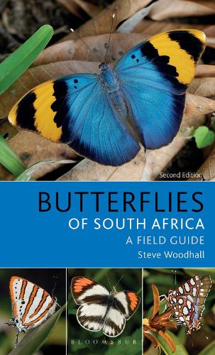 Field Guide to Butterflies of South Africa - Bloomsbury Naturalist (Paperback)
