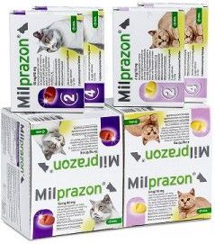 Milprazon - Ontwormingsmiddel - 0,5 - 2 kg - Voor Kat en Kitten