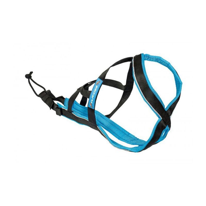 Polar Evo - Harnais pour chien