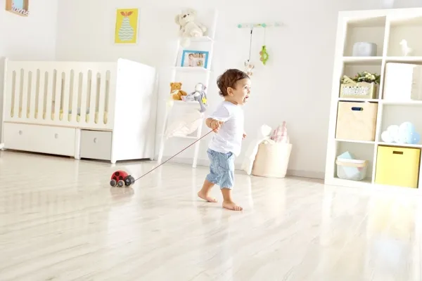 Hape Pull Along Ladybug