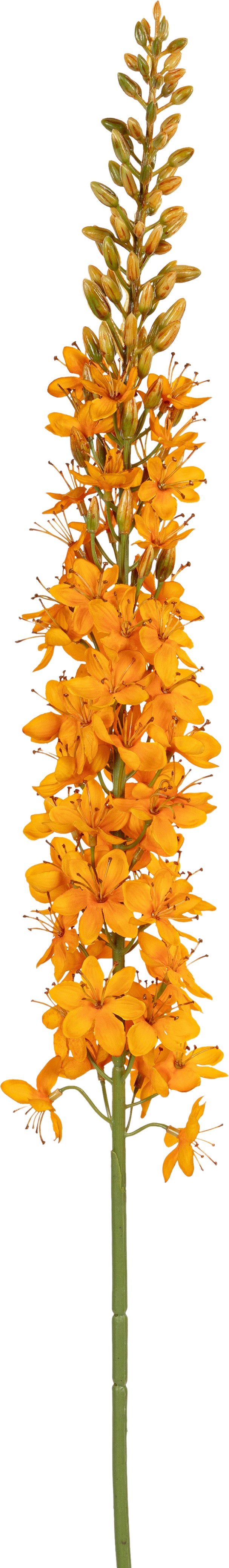 Louis Maes kunstbloem Eremurus oranje L 105 cm