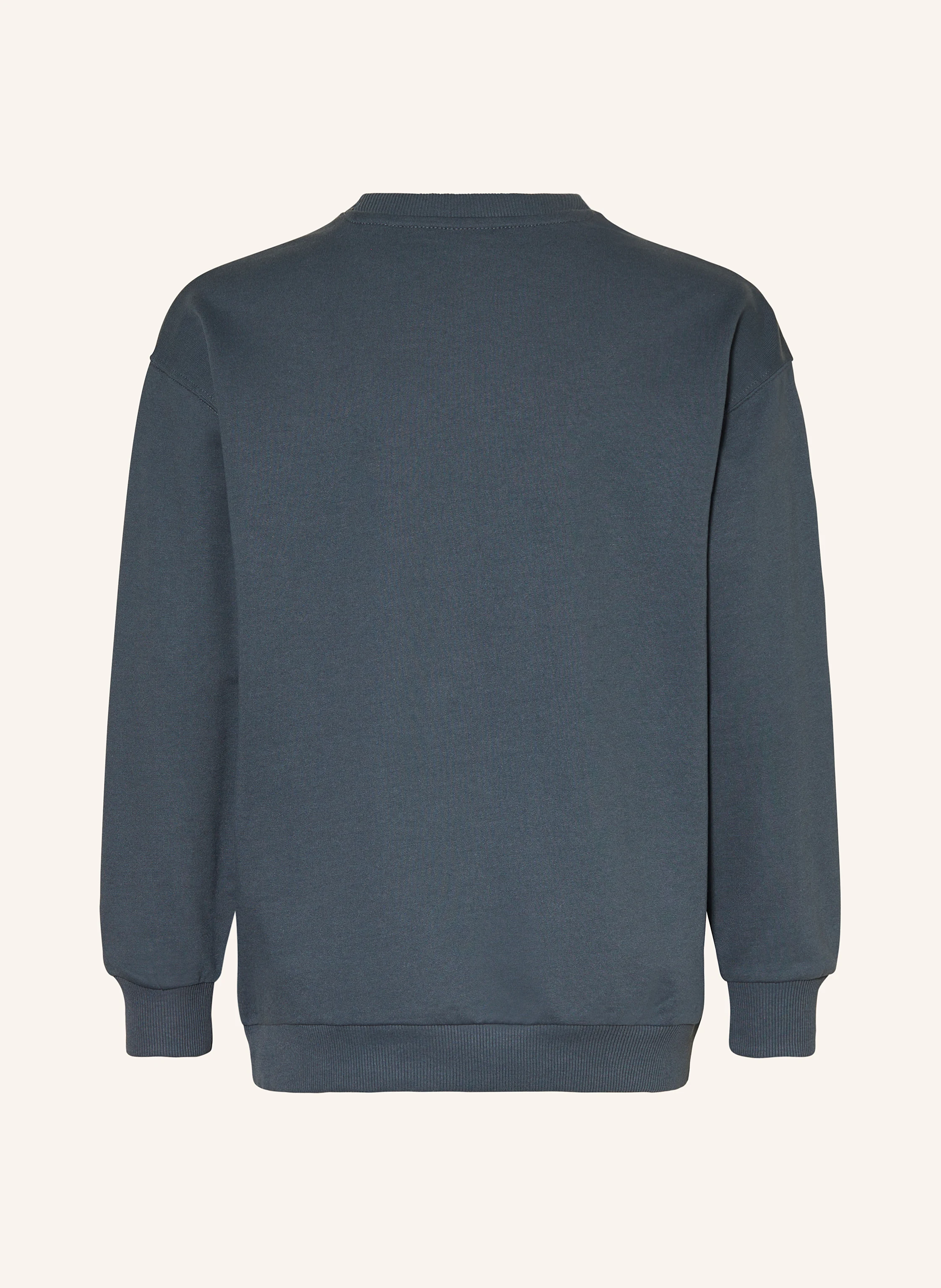 s.Oliver RED Sweatshirt