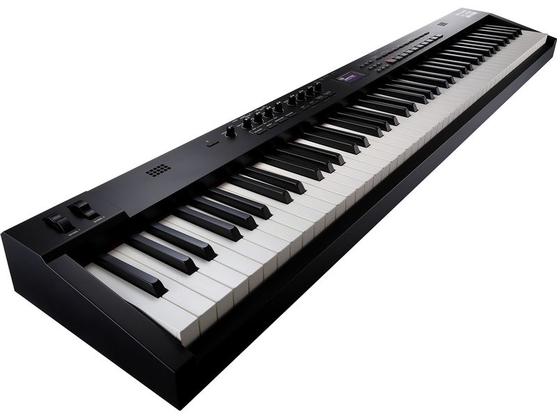 Roland Stage Piano RD-88 EX Stage Piano mit 88 gewichteten Tasten
