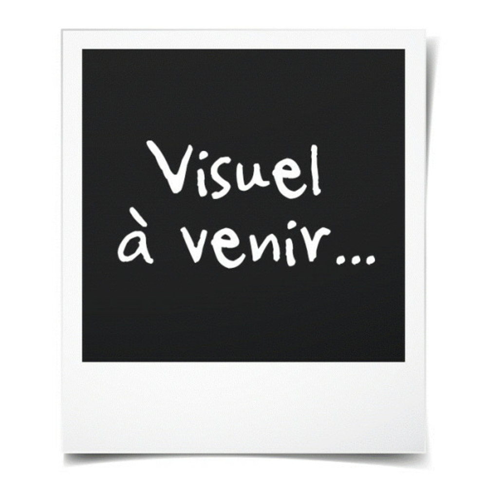 Poulailler paulette - 89x70x93cm - bois