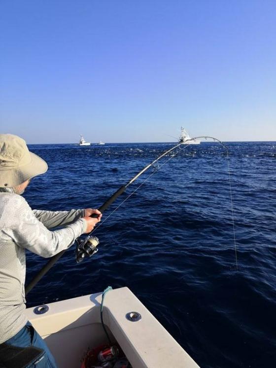 Blank Silverback 80lb 2.38 m 80lb