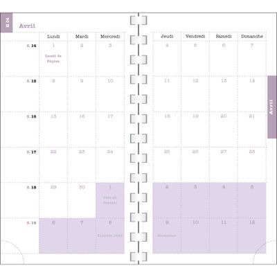 Exacompta Dodo & Cath Lady - Agenda 2025 - semainier - reliure à anneaux métalliques - 16 W Pocket - 90 x 160 mm - carton