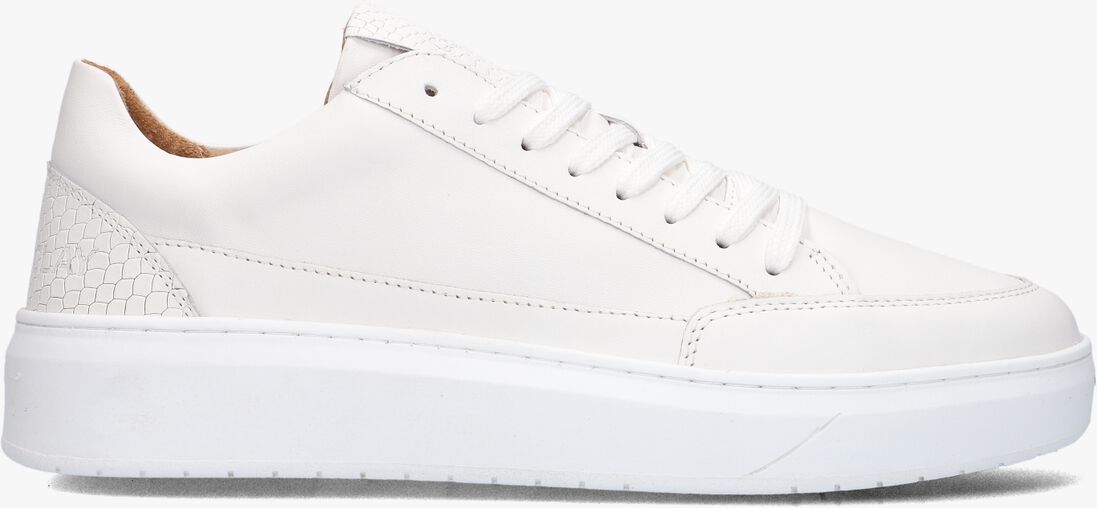 CLAY witte clay lage sneakers enzo