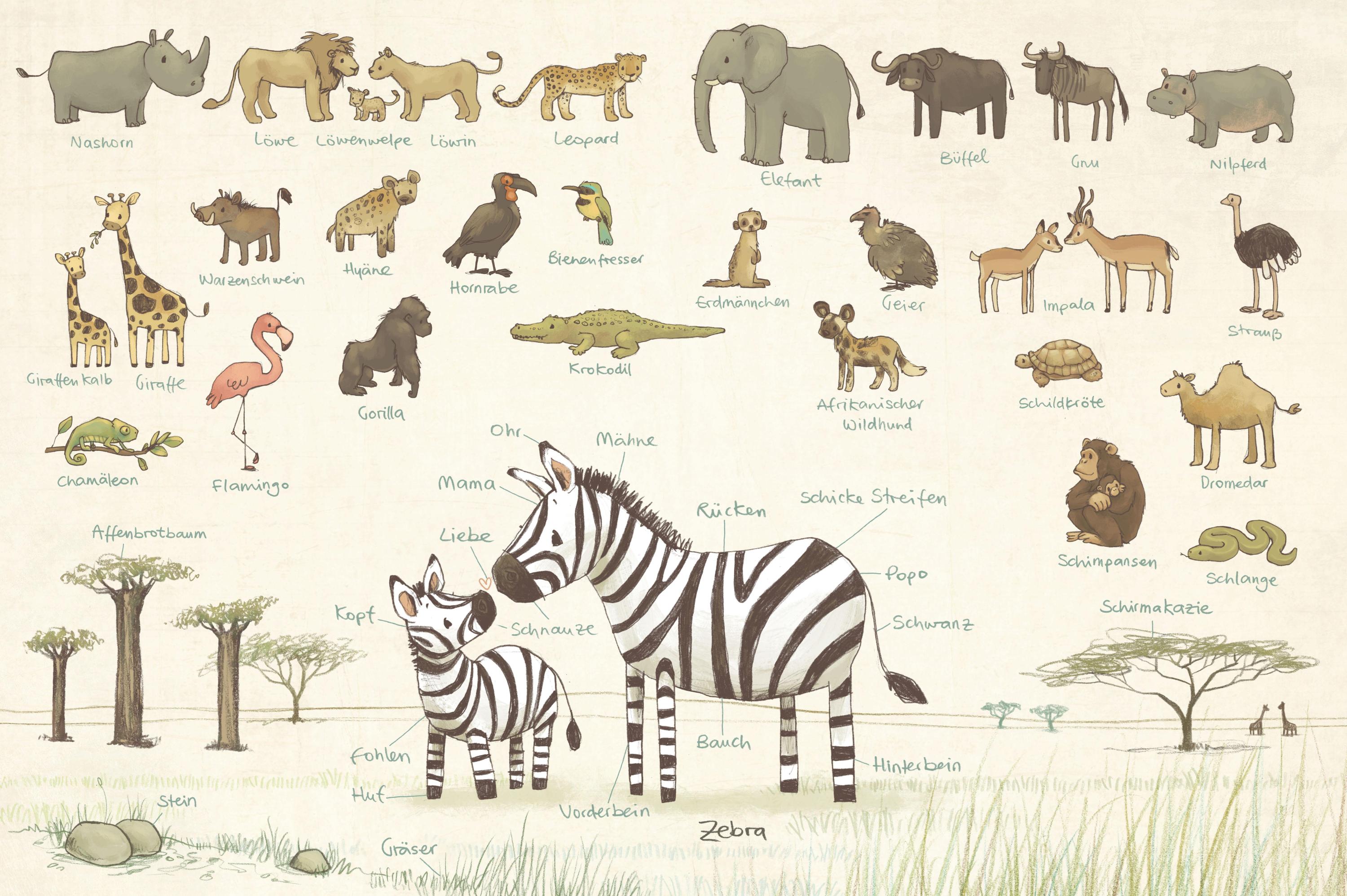 Die große Mini-Bibliothek der Wörter - Natur und Tiere: Pappbilderbuch (Die große Mini-Bibliothek der Wörter, Bd. 2)