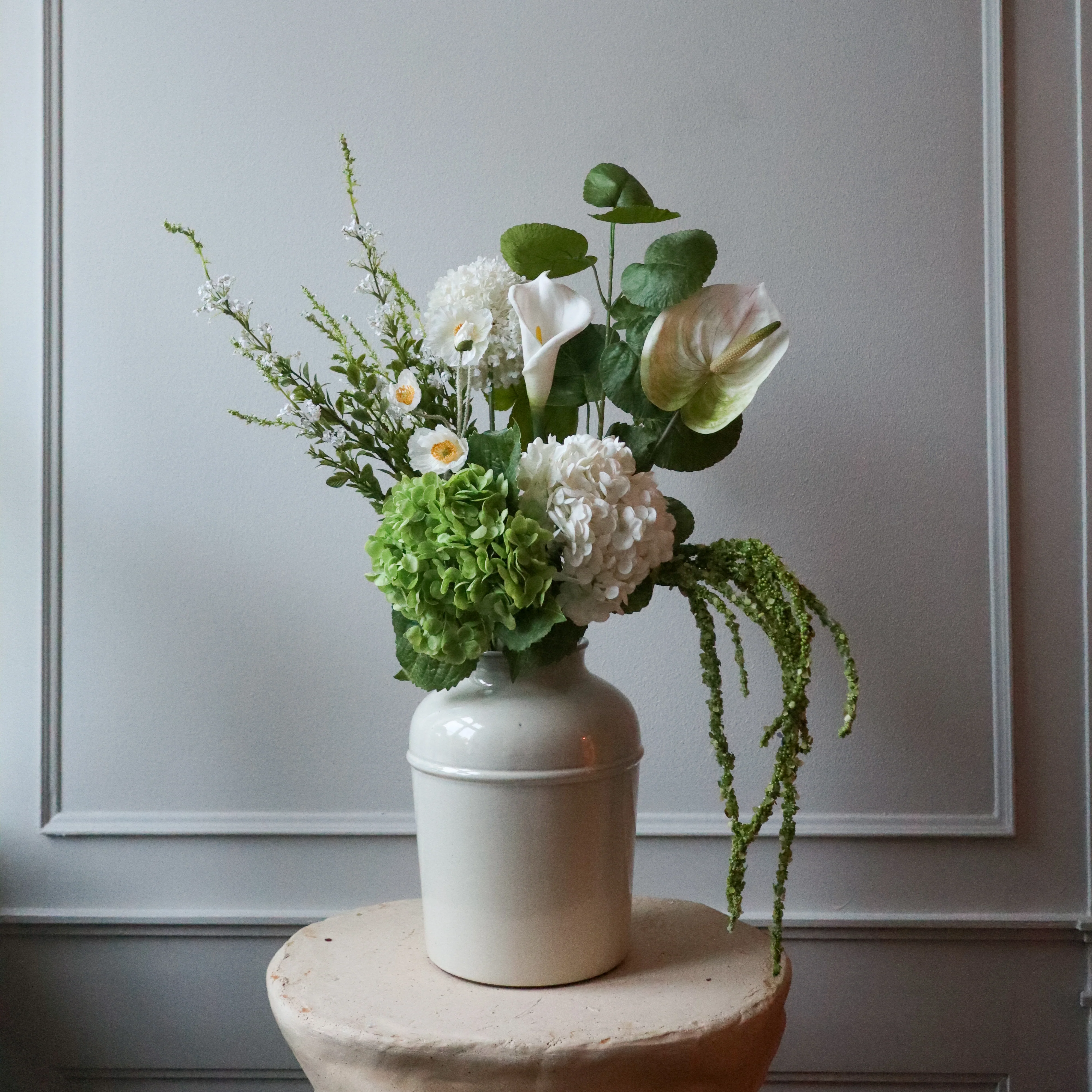 Botané  Valmue blomst - hvid