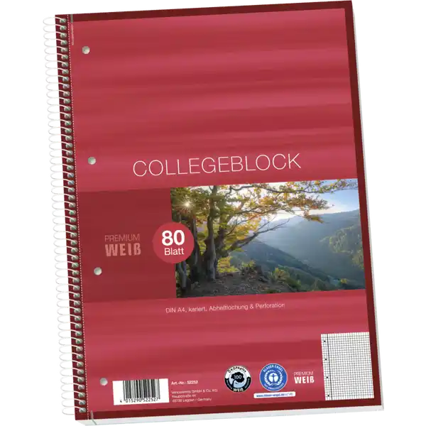 A4 Collegeblock, kariert, ohne Rand, 80 Blatt