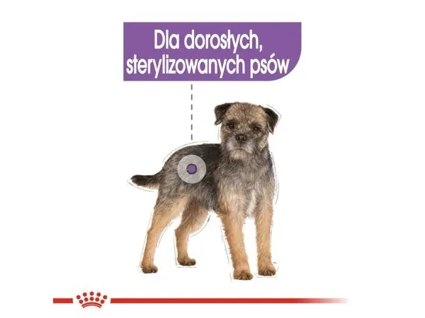 Royal Canin CCN Sterilised Loaf dog 12x85g