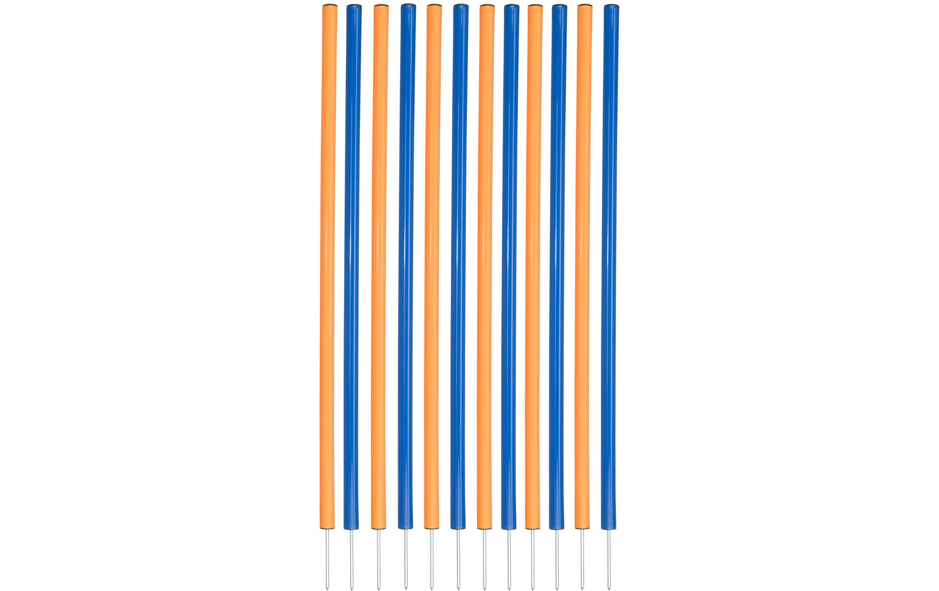 Agility Slalom Dog Activity Set, 12 StangenAgility-Zubehör