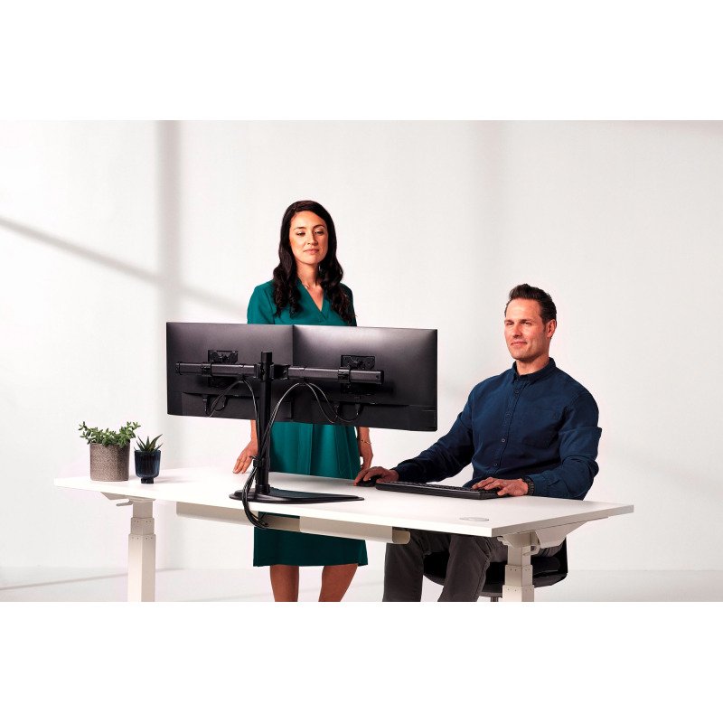 Bras support-écran double Seasa Fellowes