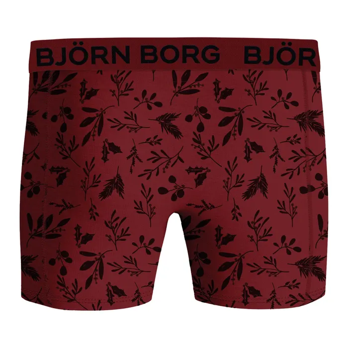Bjorn Borg Björn Borg Cotton Stretch Brief Boxershorts Heren (9-pack)