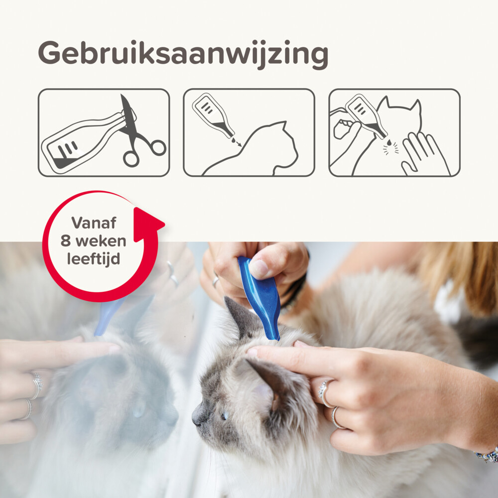 Beaphar Combotec Anti Vlooien en Teken Druppels Kat/Fret 2 pipetten
