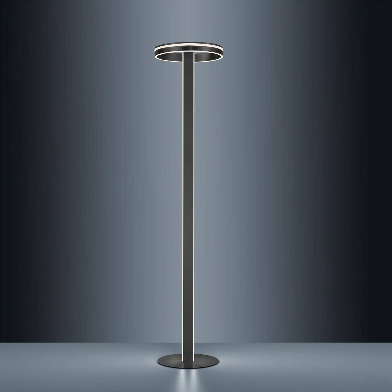 Paul Neuhaus Smart Home LED Stehlampe Q-VITO anthrazit