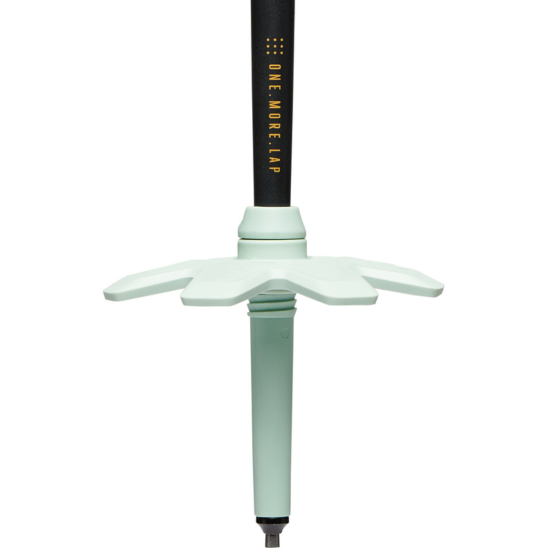 Black Diamond Traverse Pro Skistöcke