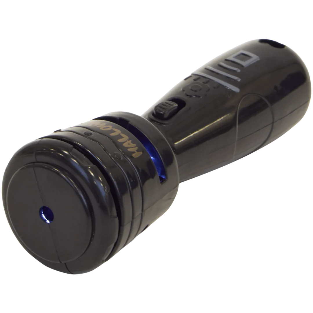 Lampe d'Halloween avec projecteur