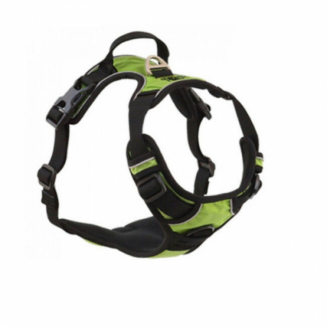 Harnais Kn'1 Active Drive multifonctions pour chien