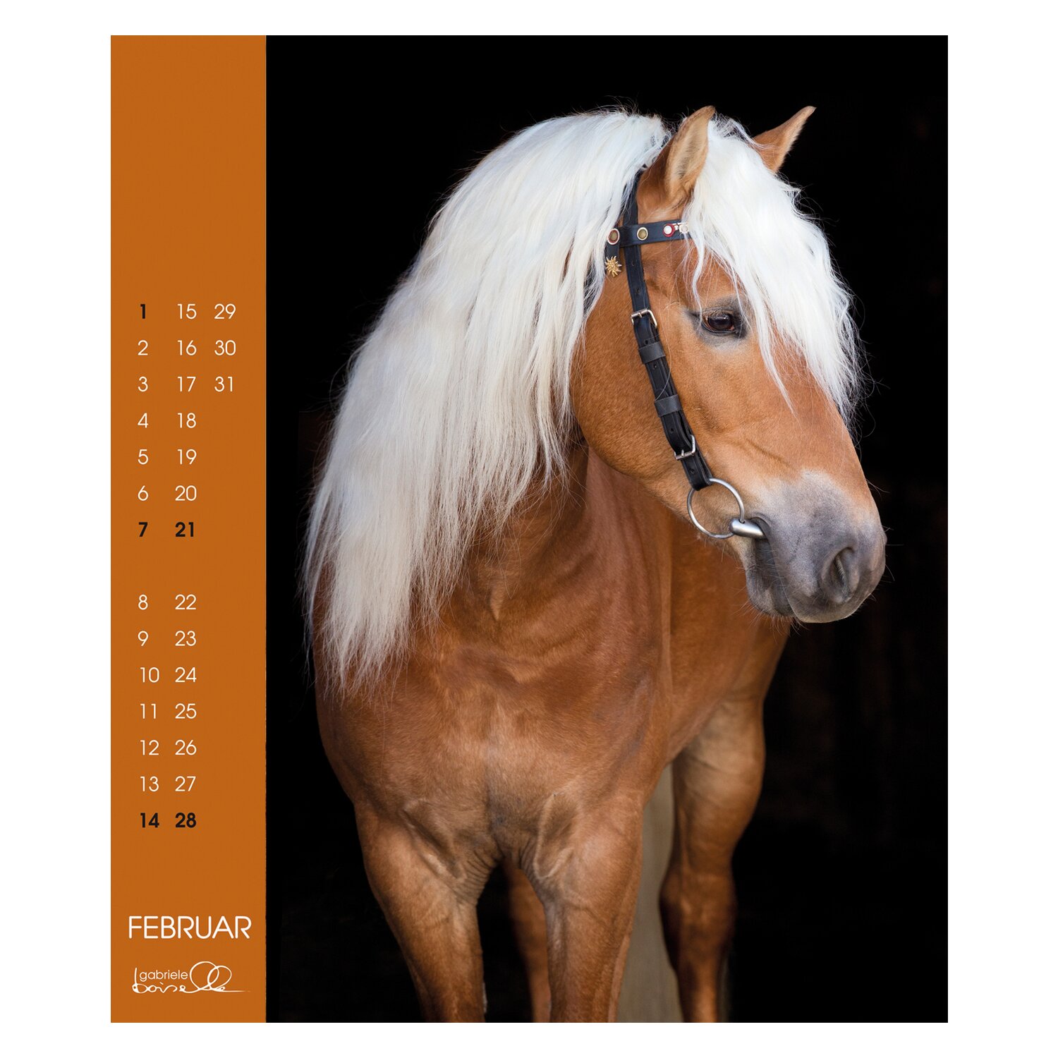 Kalender Haflinger - Edition Boiselle 2025