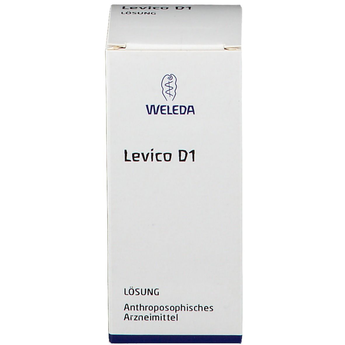 Levico D1