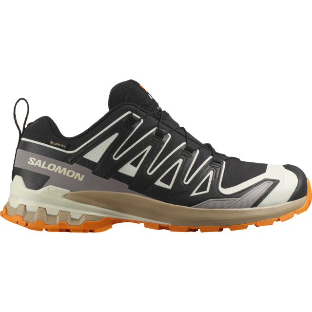 Salomon Laufschuh »XA PRO 3D V9 GORE-TEX«  wasserdicht