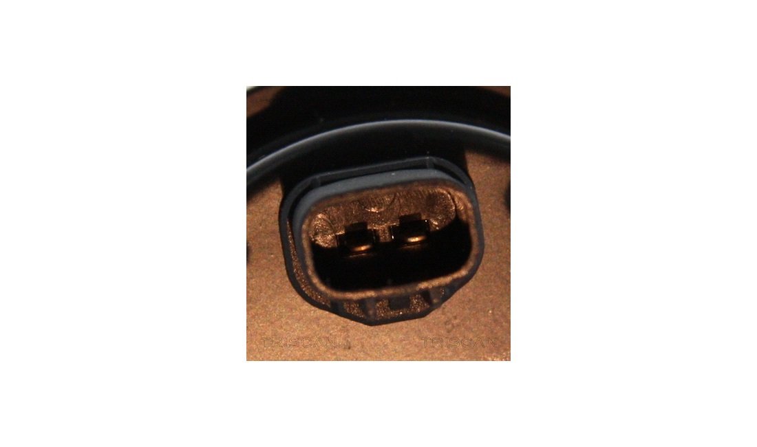 ABS sensor