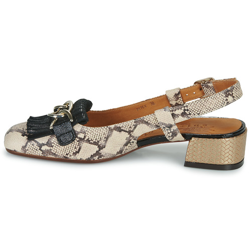 Chie Mihara - ILNA - Python