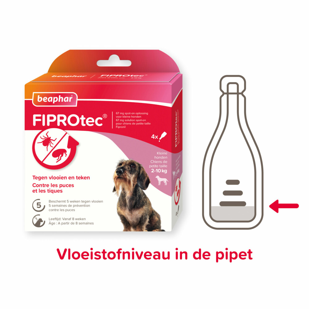 Beaphar Fiprotec Anti Teken- en Vlooiendruppels Hond 2 - 10 kg4 stuks