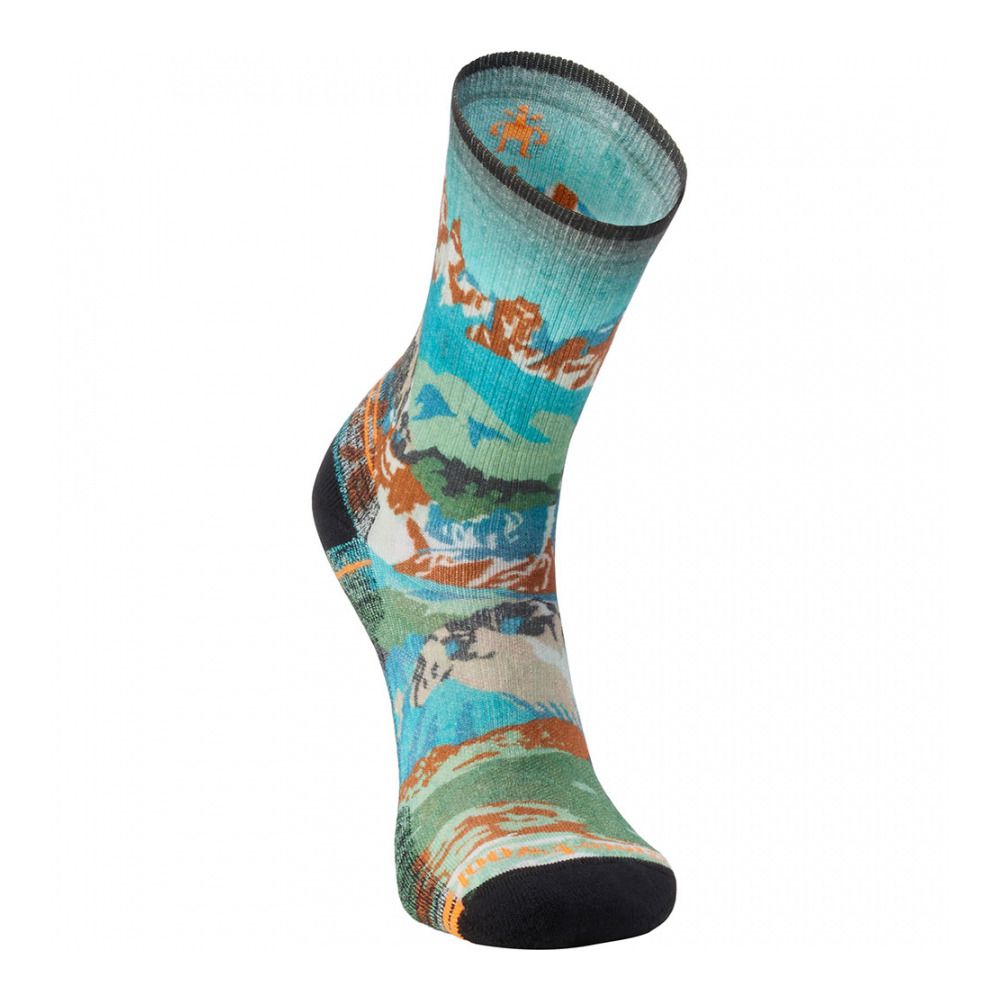 Smartwool LIGHT CUSHION CREW - Chaussettes Homme winter moss