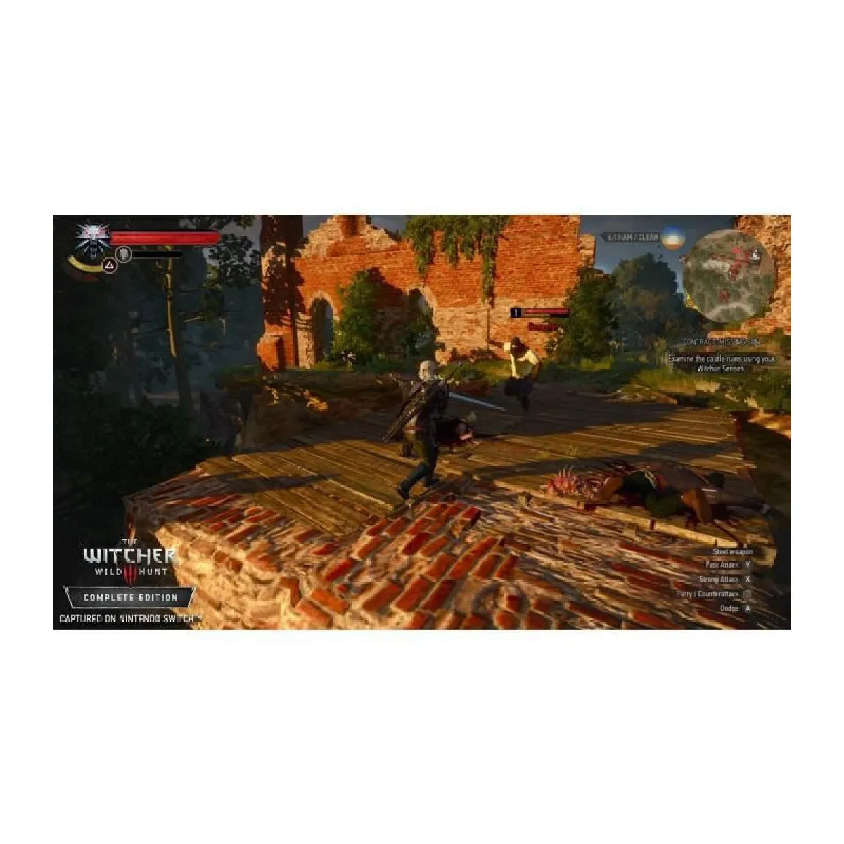 BANDAI NAMCO ENTERTAINMENT CDProjekt The Witcher 3 Wild Hunt - Switch