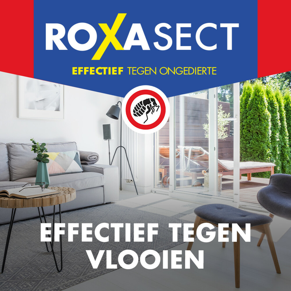 Roxasect Spray tegen Vlooien 300 ml