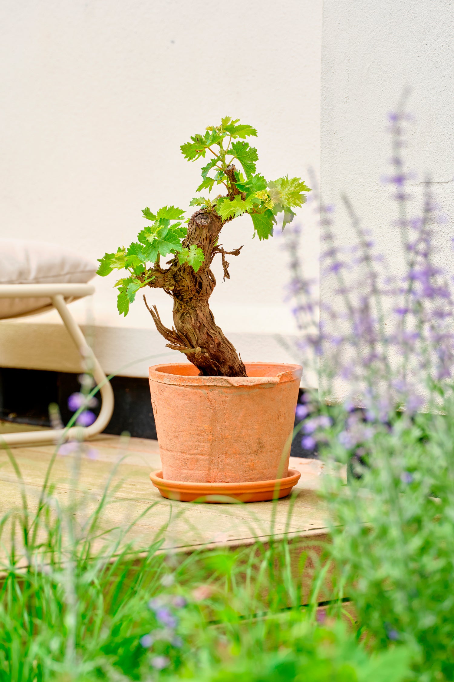 Esschert's Garden bloempot Aged oranje D 16,3 H 12 cm