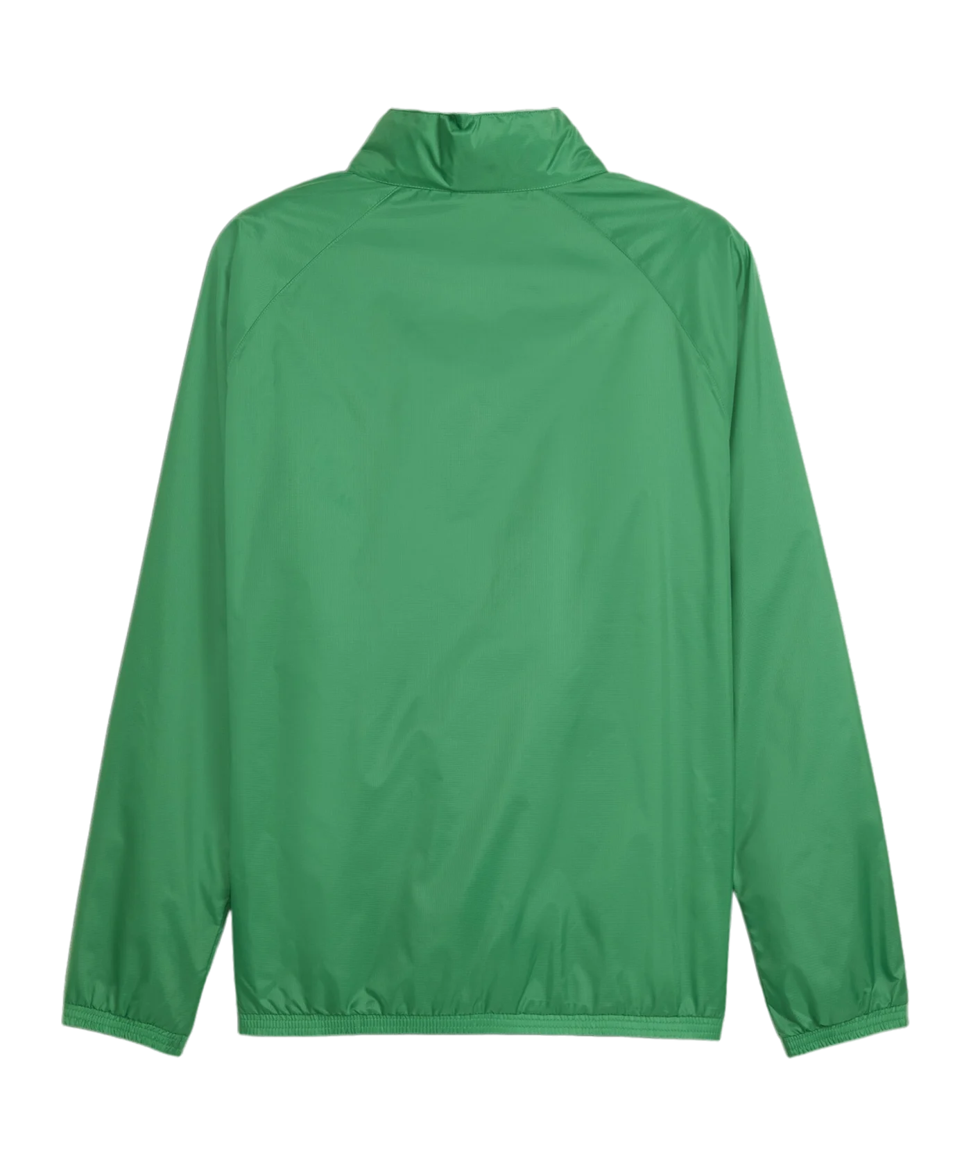 PUMA teamGOAL Allwetterjacke Grün Weiss F05